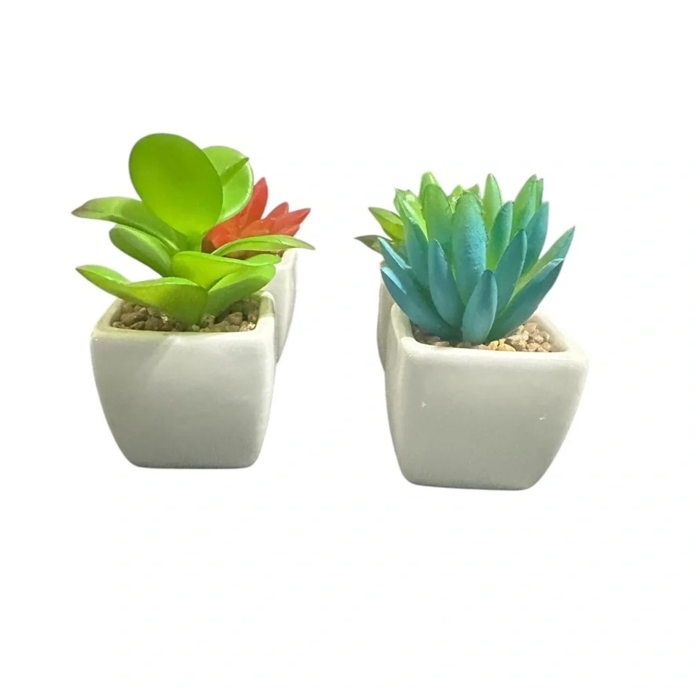 Set of 4 Faux Succulent Plants in White Ceramic Pots